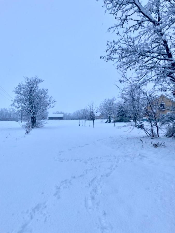 Ferienwohnung Westhof Sankt Andra am Zicksee Bagian luar foto